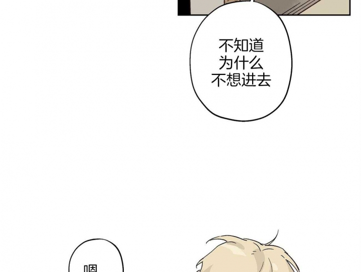 第29话17