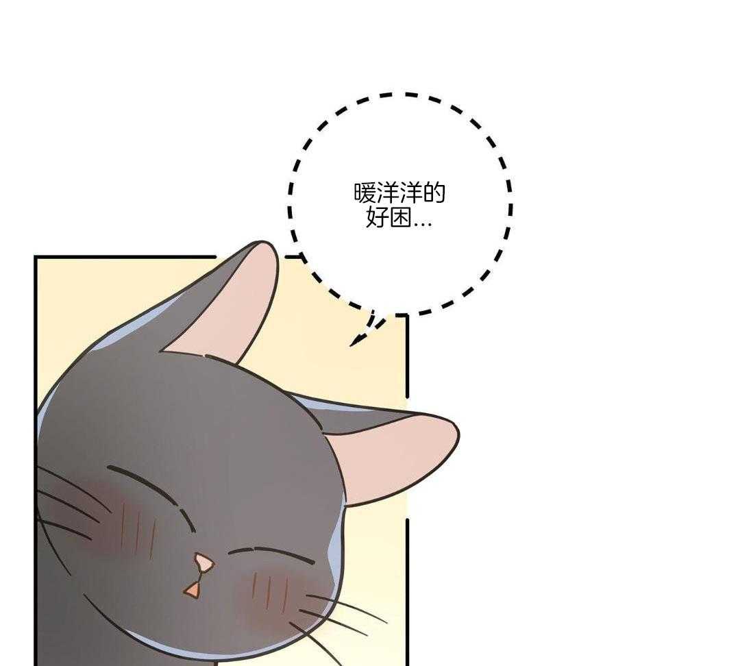 第47话49