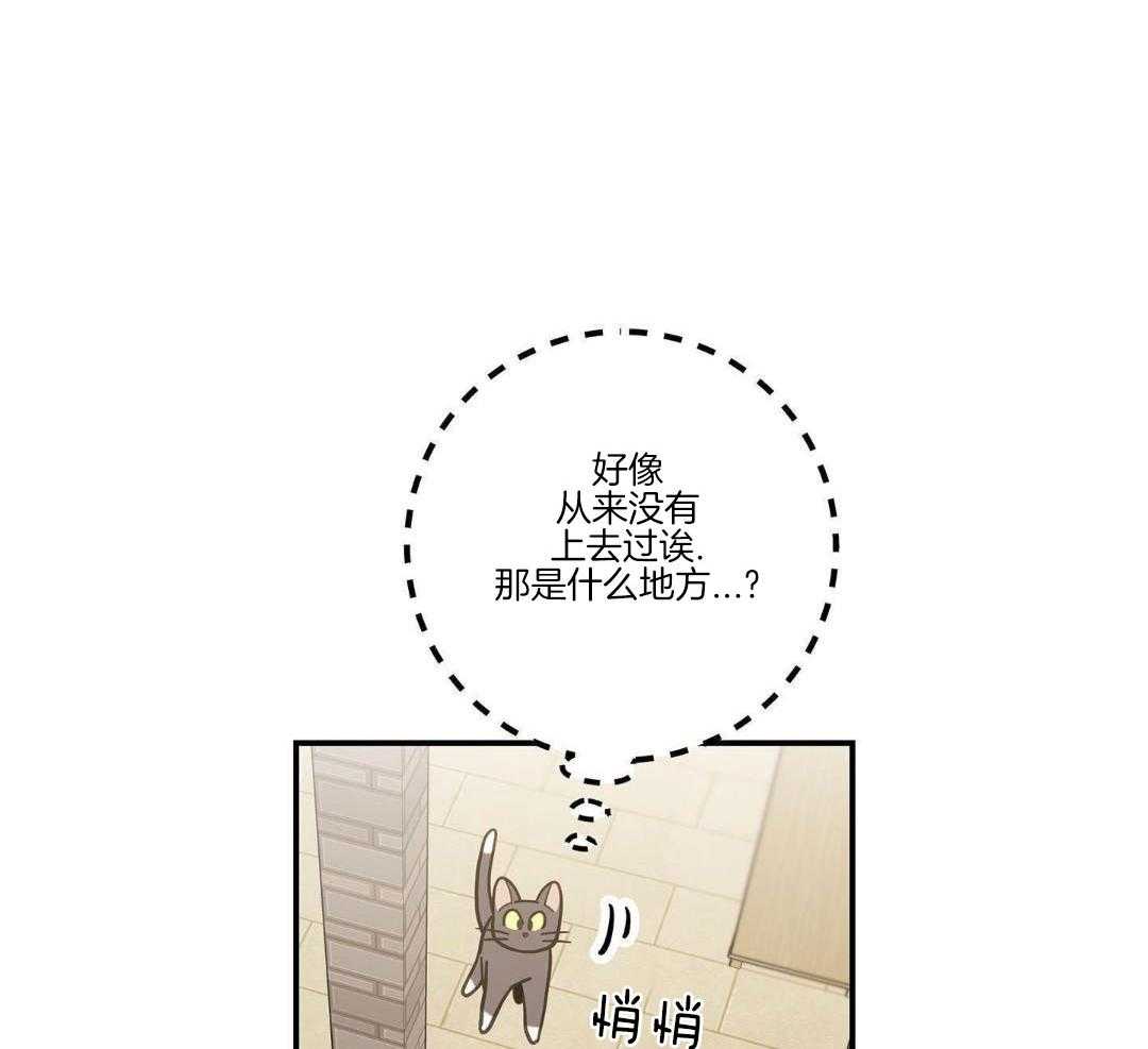第47话33
