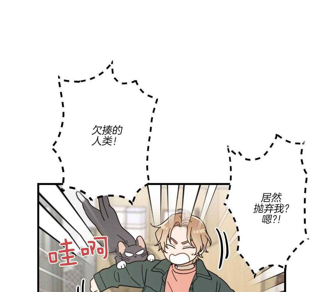 第54话31