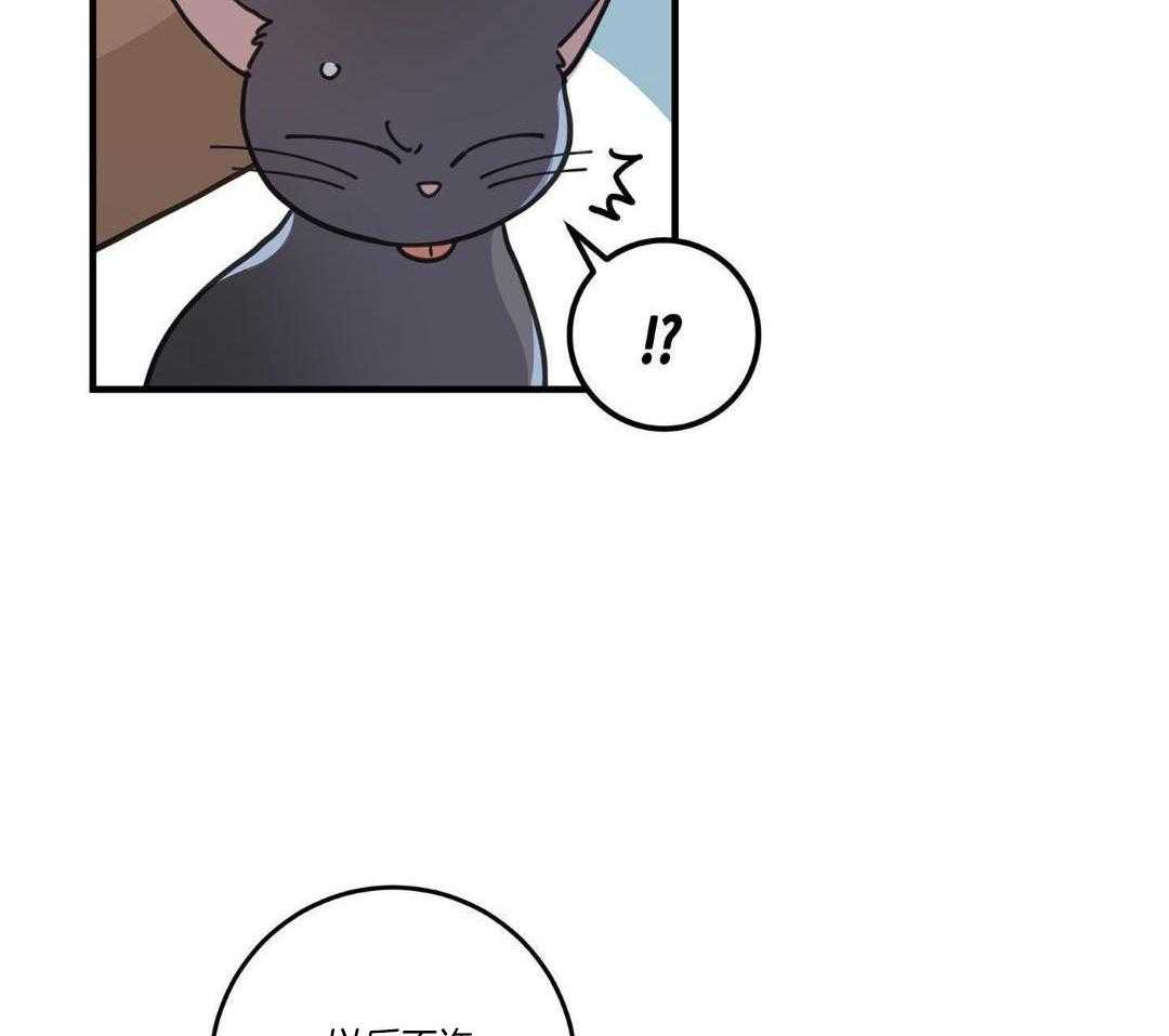 第55话37