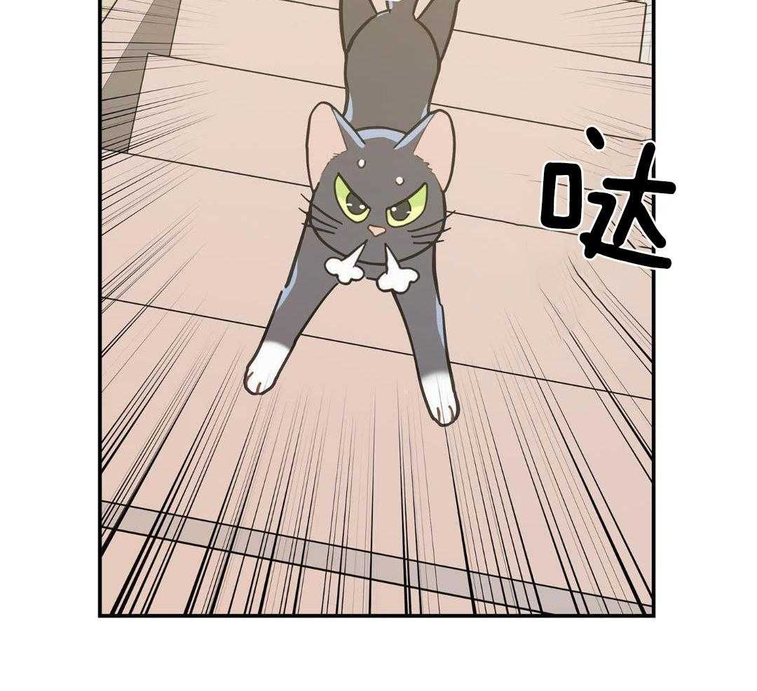 第47话39