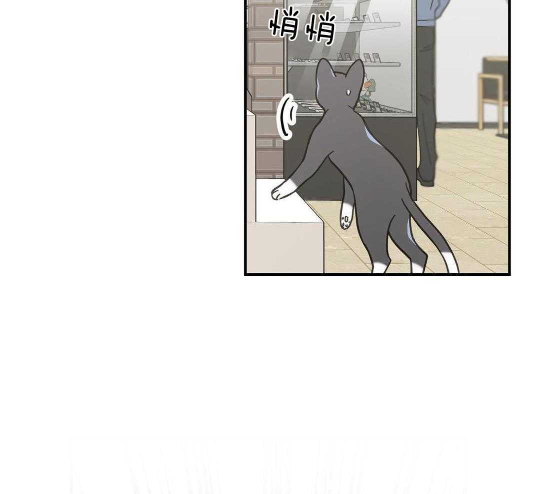 第47话37