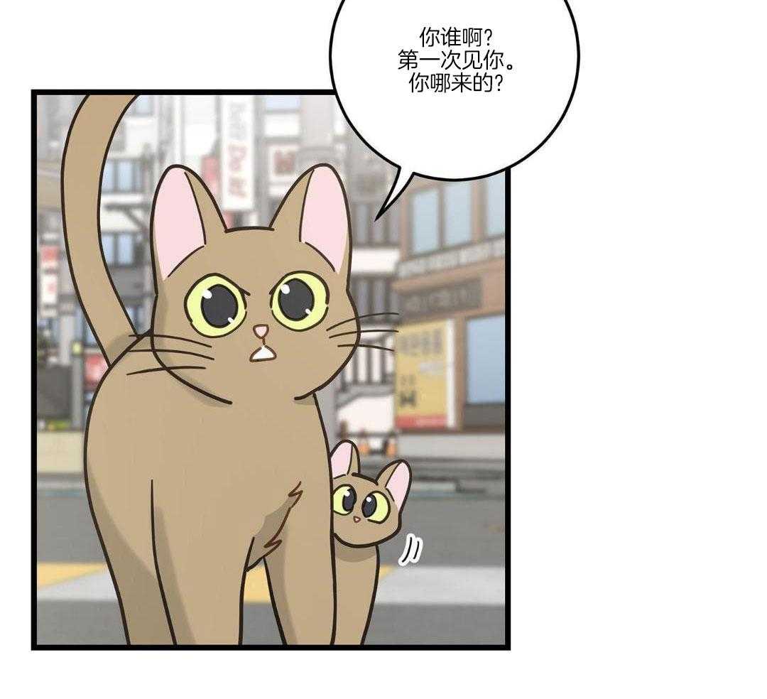 第33话29