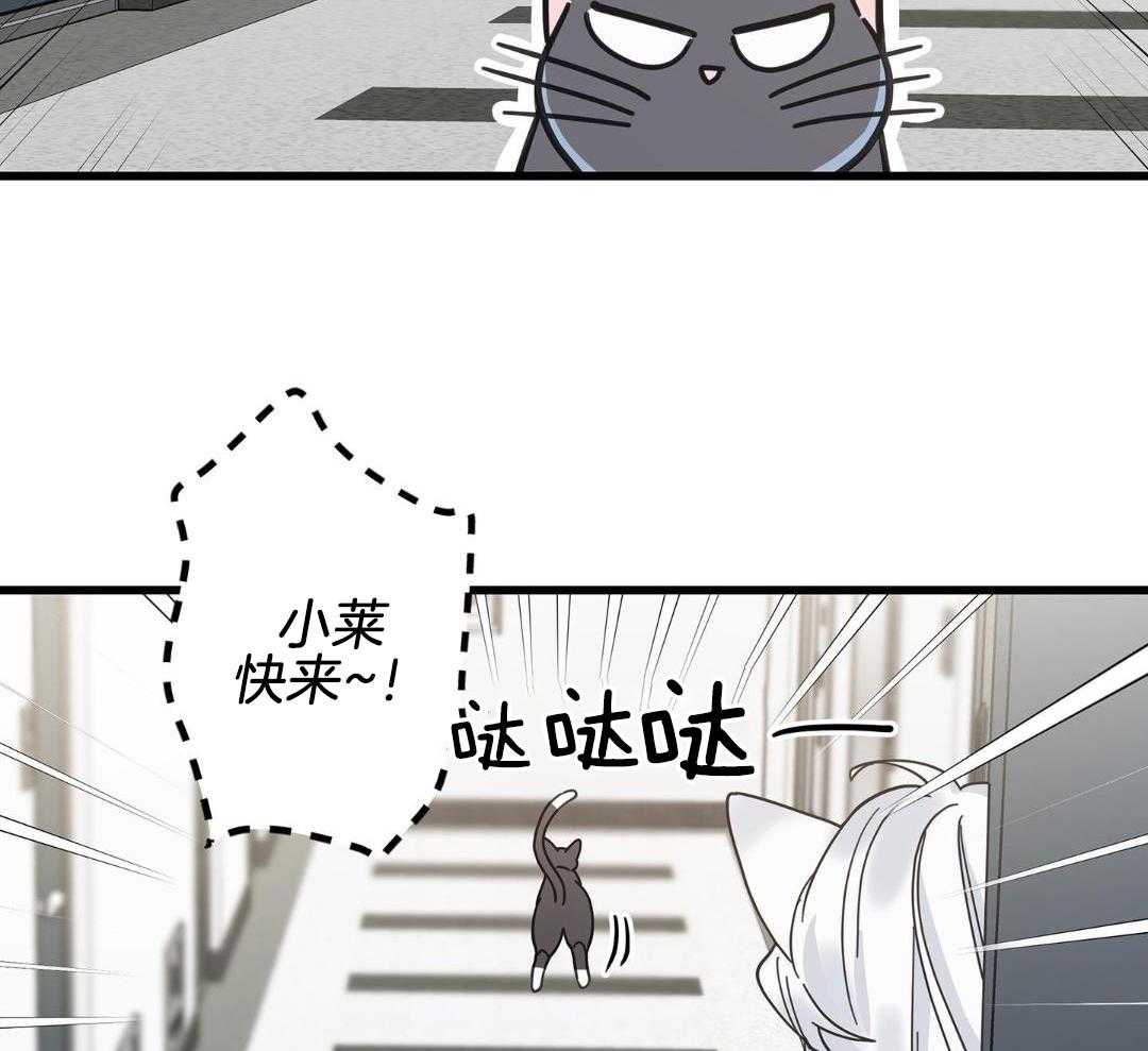 第46话17
