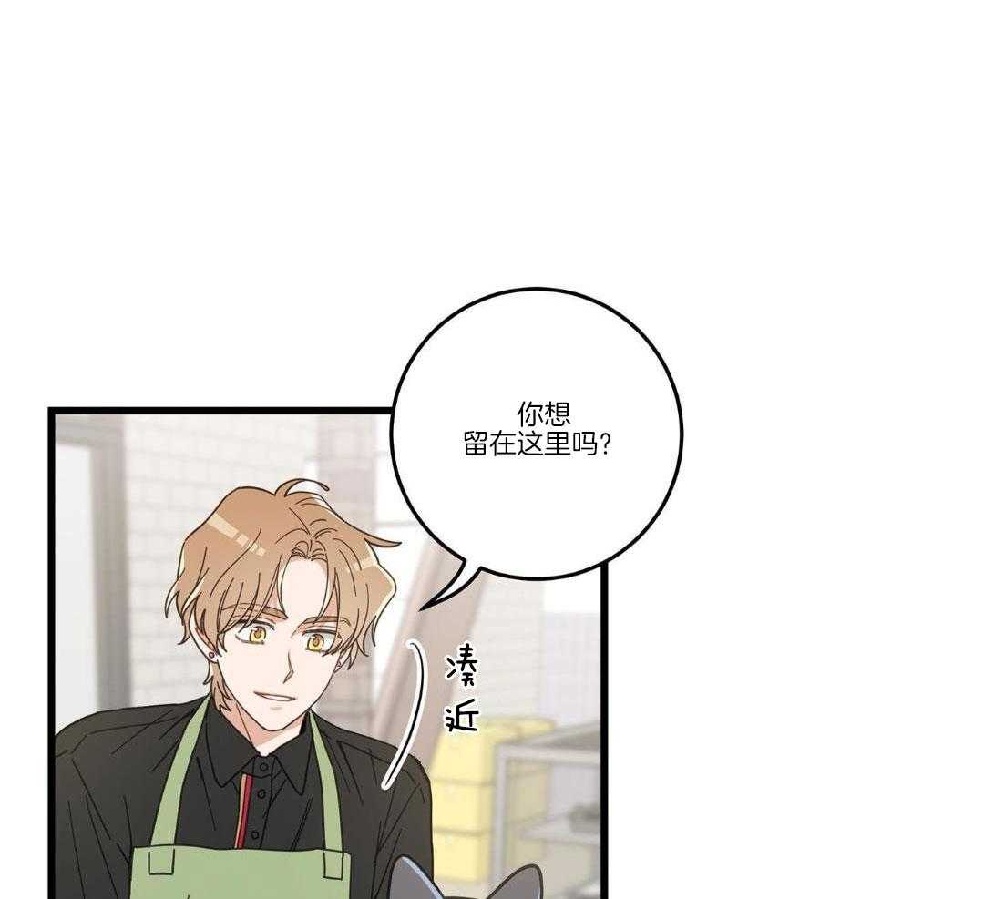 第37话37