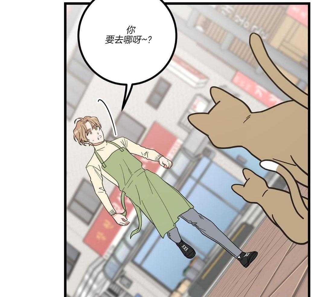 第34话17