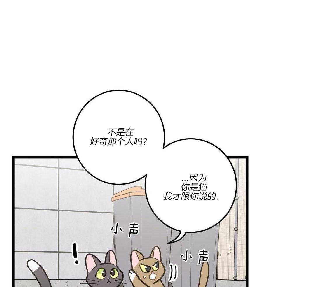 第33话37