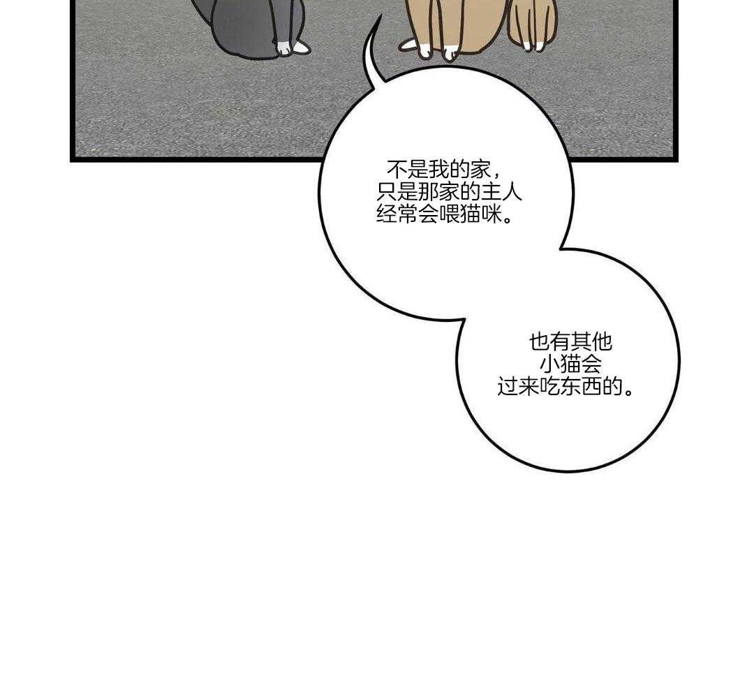 第33话33