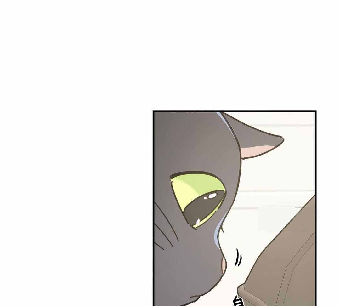 第47话52
