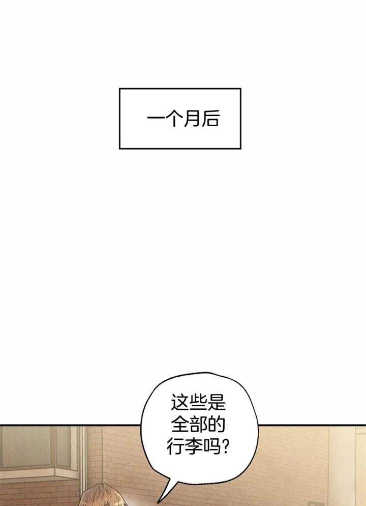 第163话17