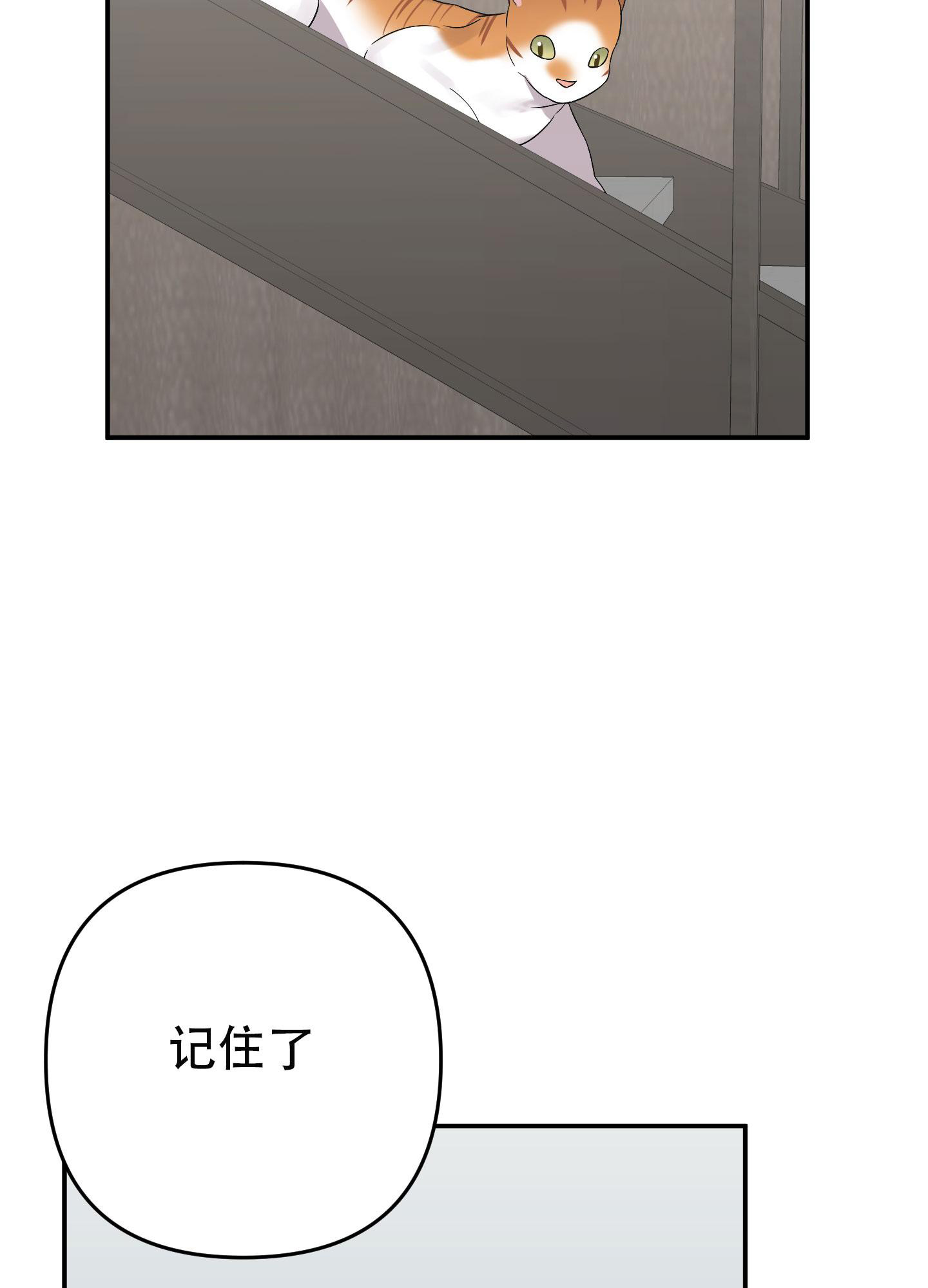 第136话12