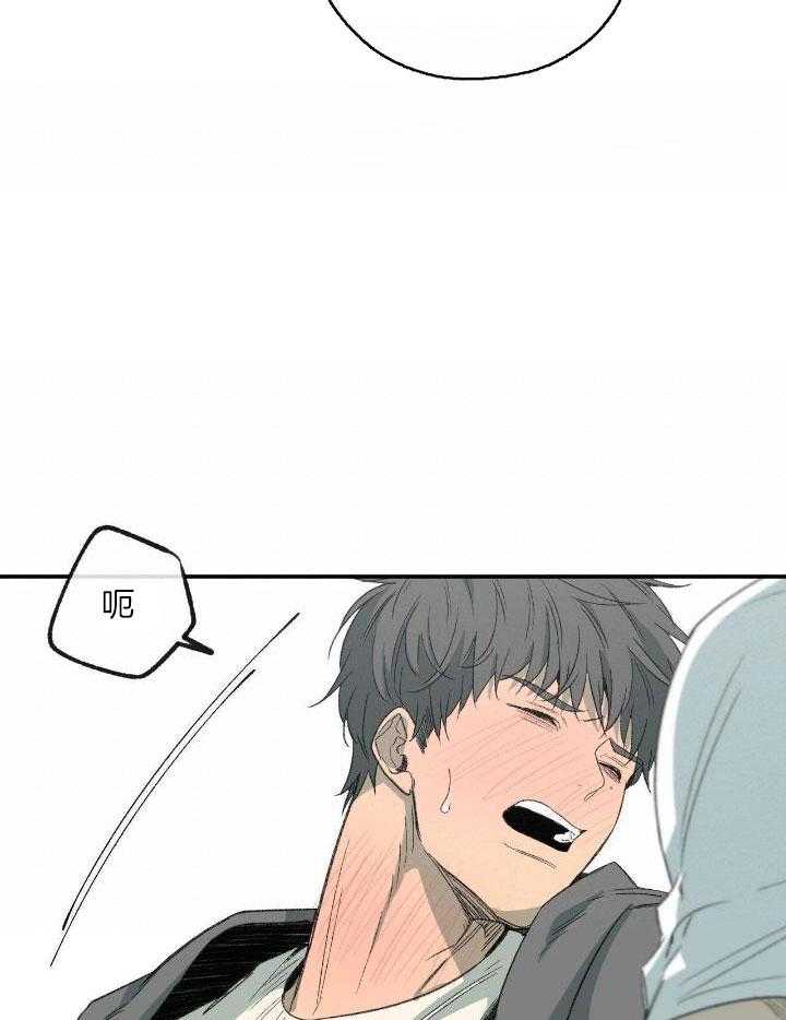 第208话12