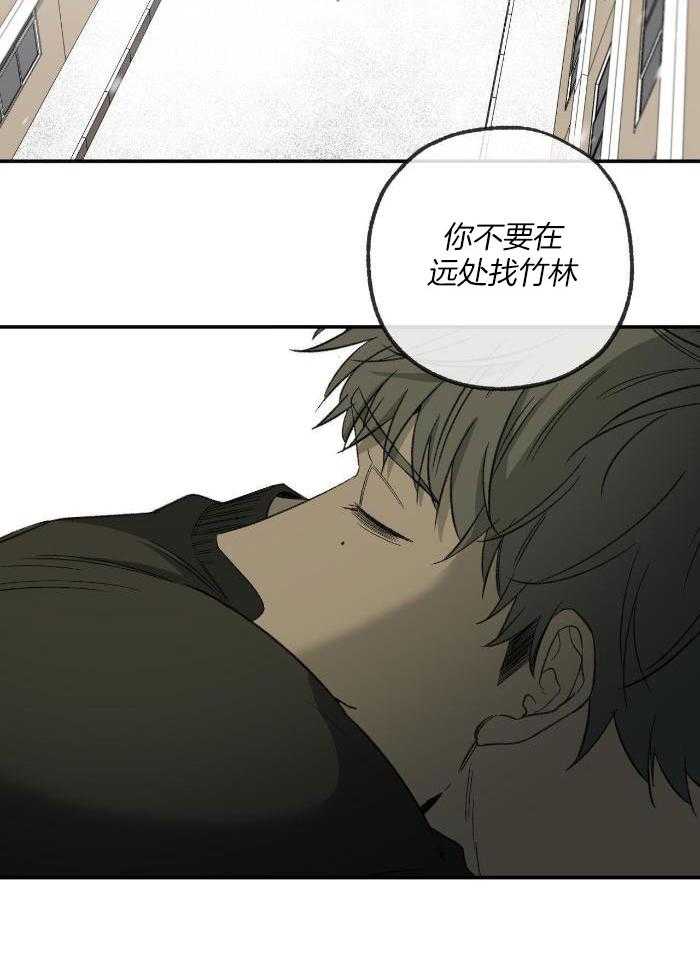 第217话12
