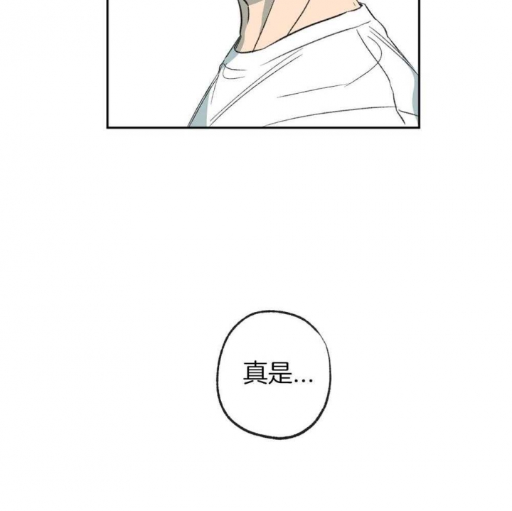 第188话14