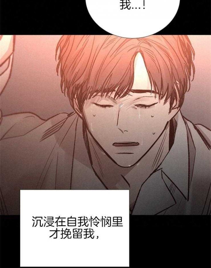 第137话13