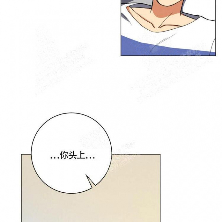 第24话24